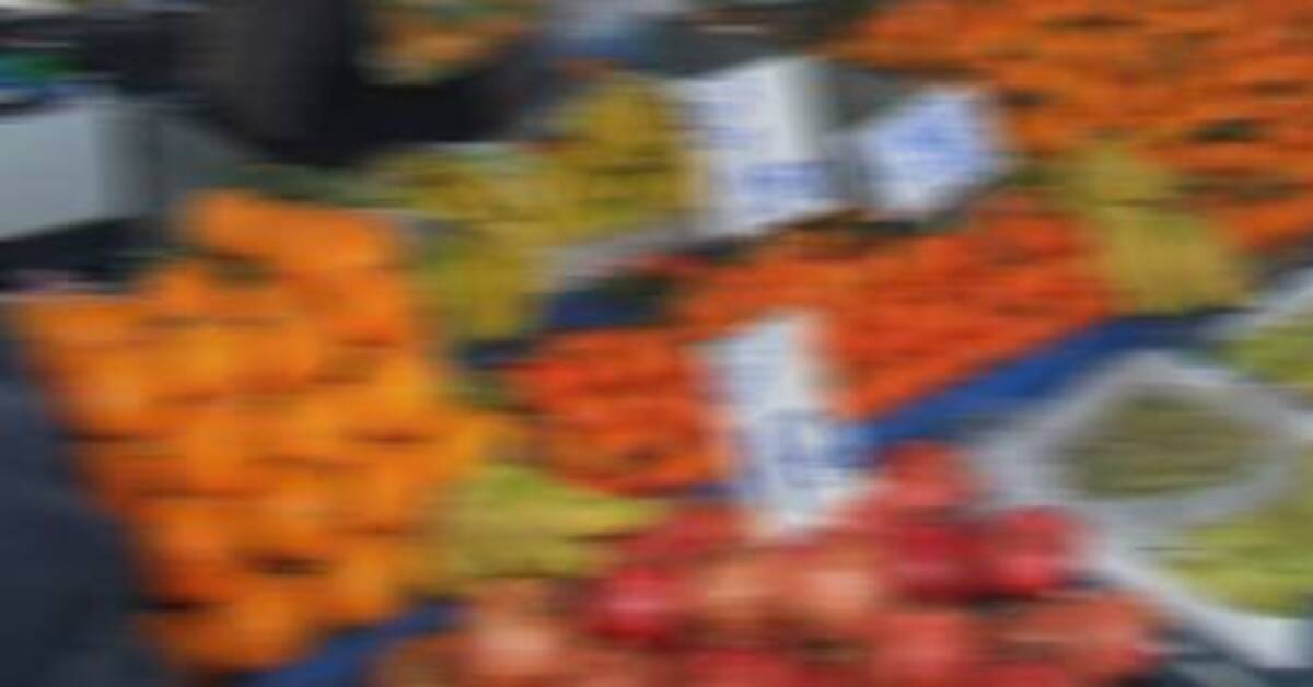 Gaziosmanpaşa Belediyesi’nden emeklilere 9 Bin TL pazar desteği